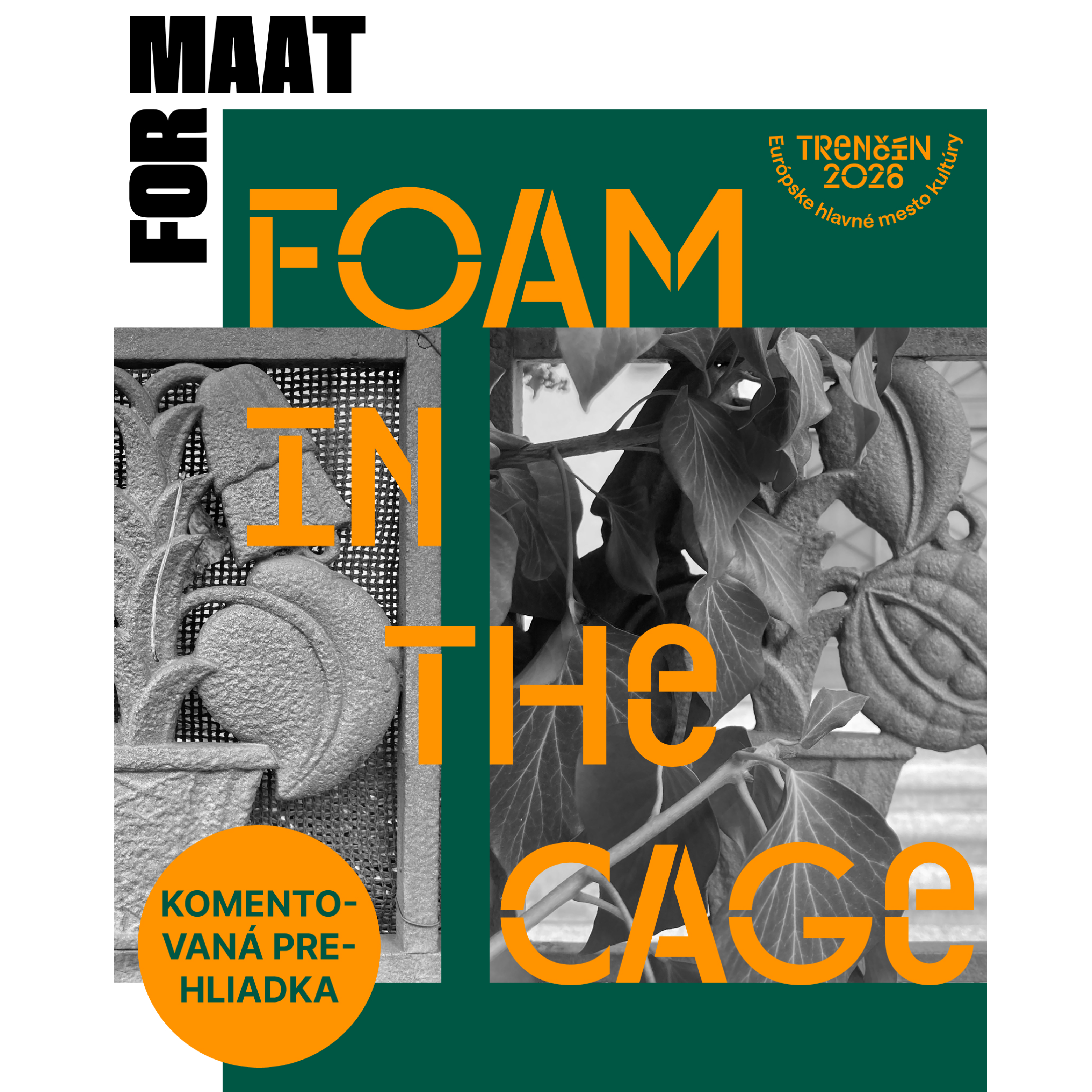 Foam in the cage – komentovaná prehliadka