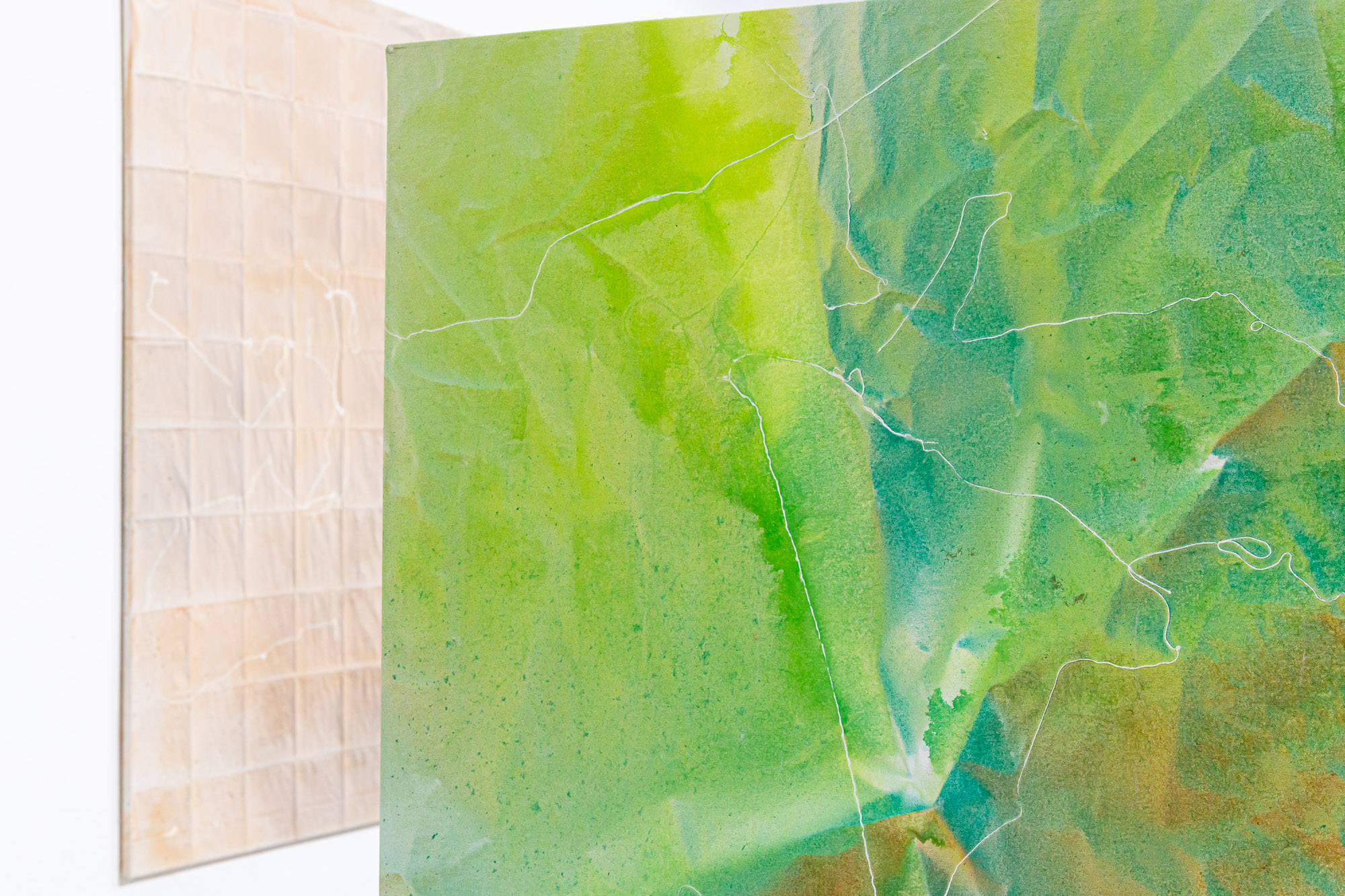 Landscape frottage – curatorial text