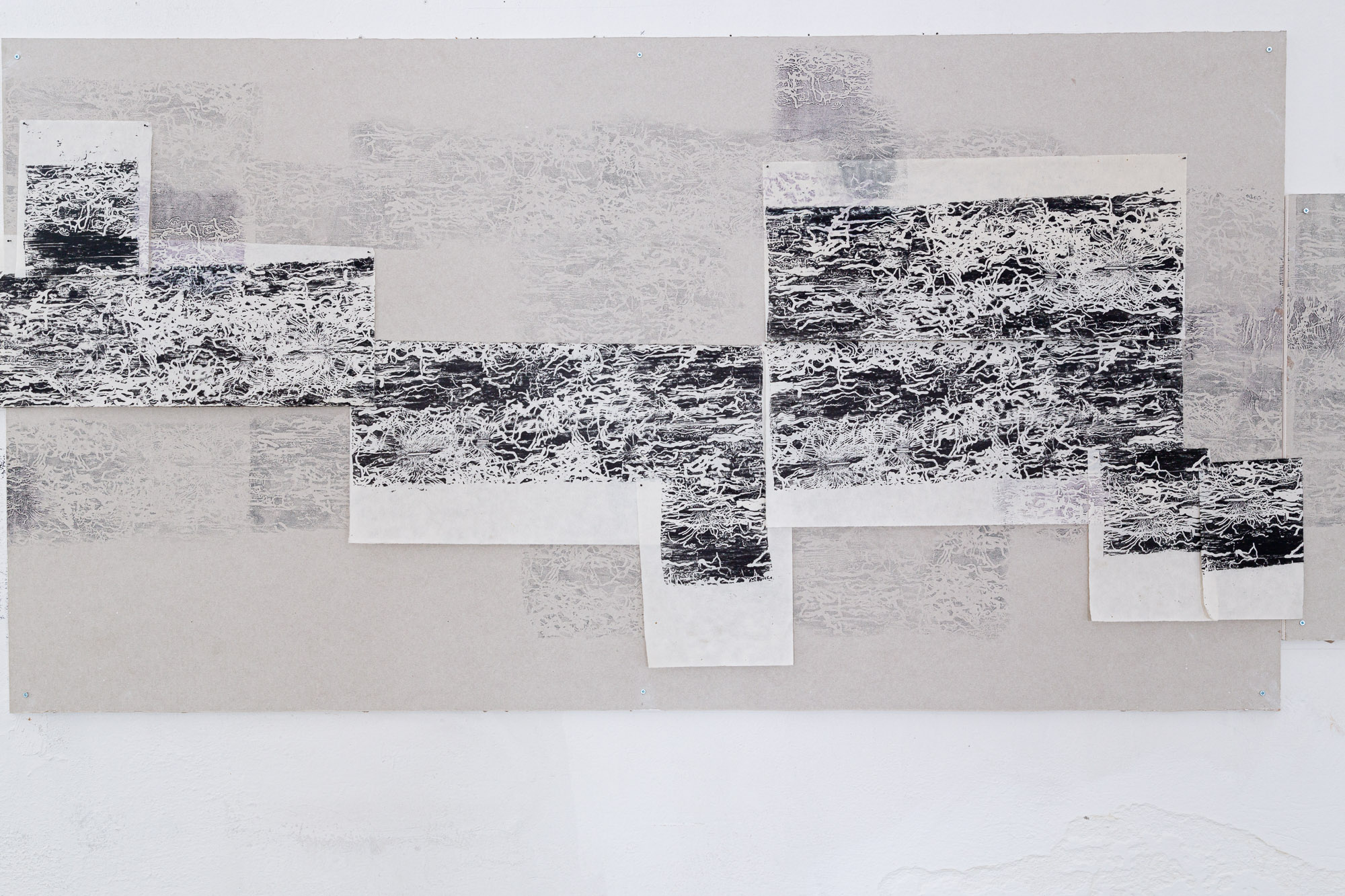 Exiled to the Forest - curatorial text