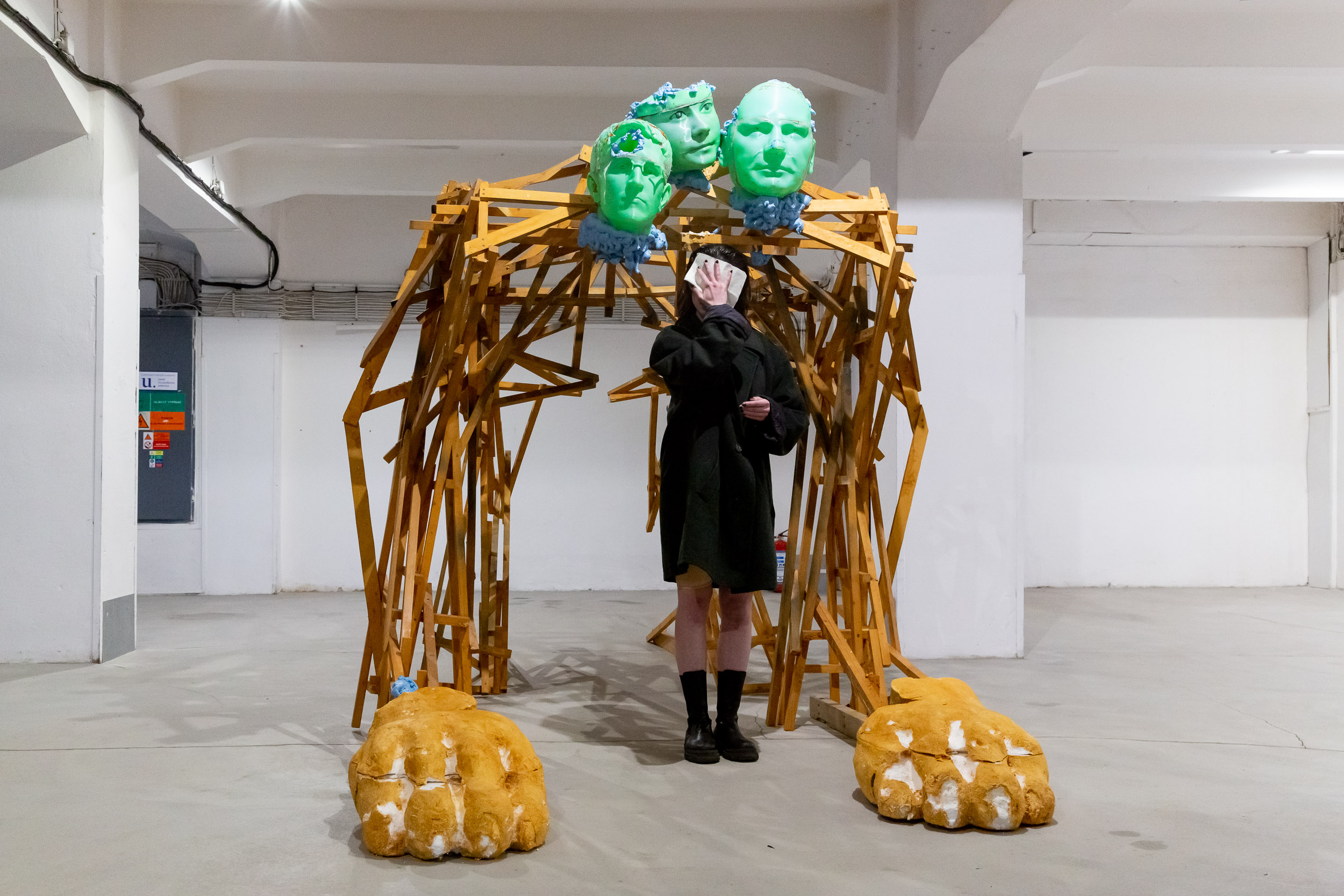 The democratic Hydra - Marek Stuller 