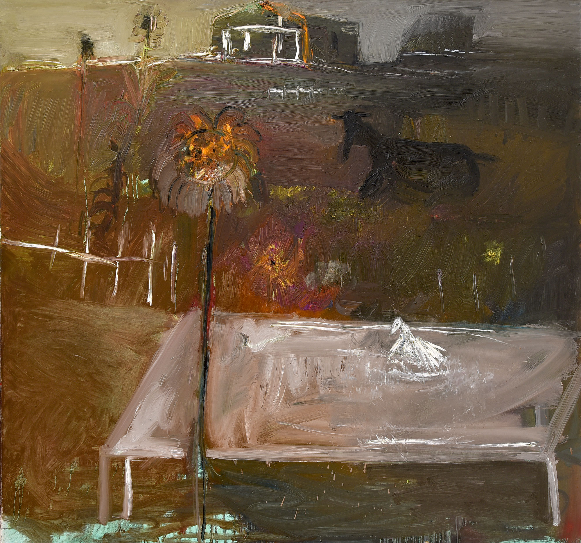 FOR MAAT Brusel - Matej Červeňan