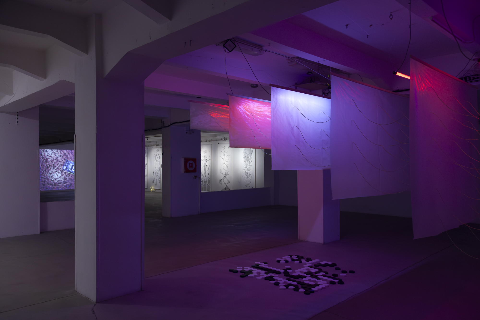  Infinite countdown - Boris Vitázek