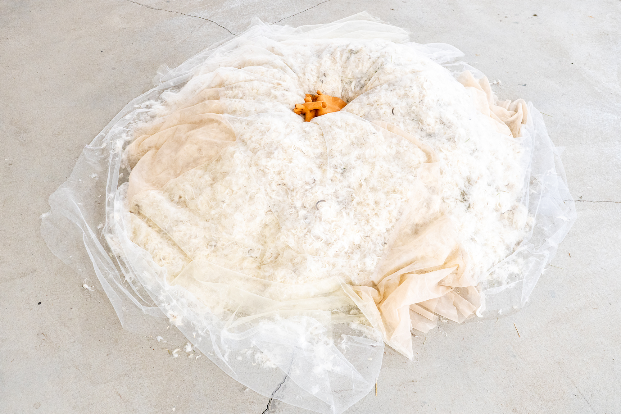 Conditions of coexistence – Lilla Gombos, Sáro Gottstein, Luiza Furtado